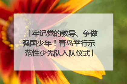 牢记党的教导、争做强国少年！青岛举行示范性少先队入队仪式
